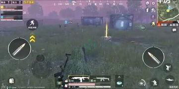 和平精英最新模式 爆料,极限生存挑战，谁能笑到最后？